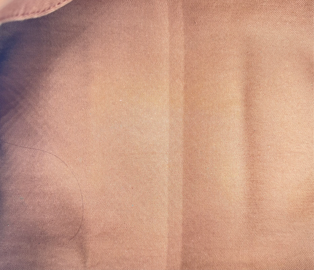 Louis Vuitton – Speedy 30 Monogram