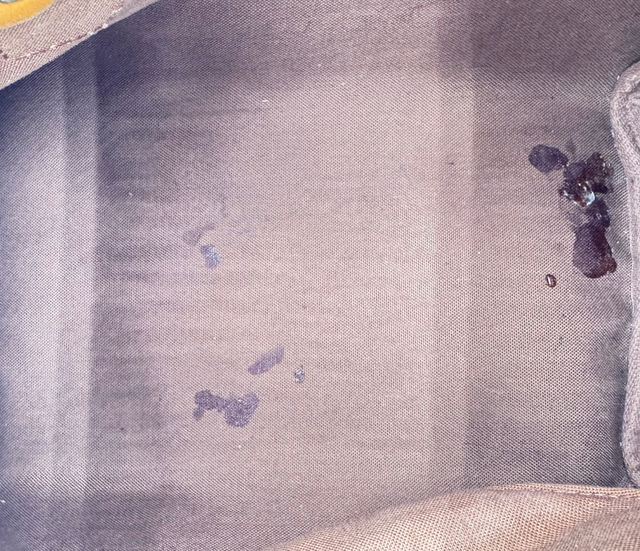 Louis Vuitton – Speedy 25 Monogram