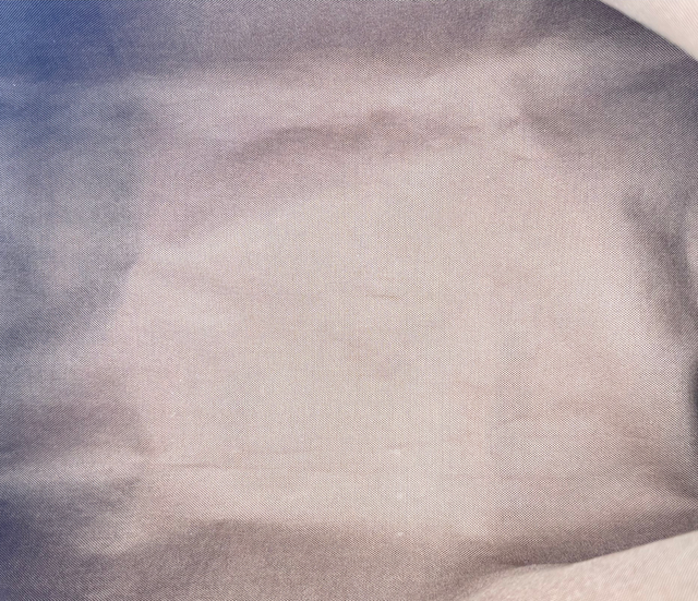 Louis Vuitton – Speedy 40 Monogram