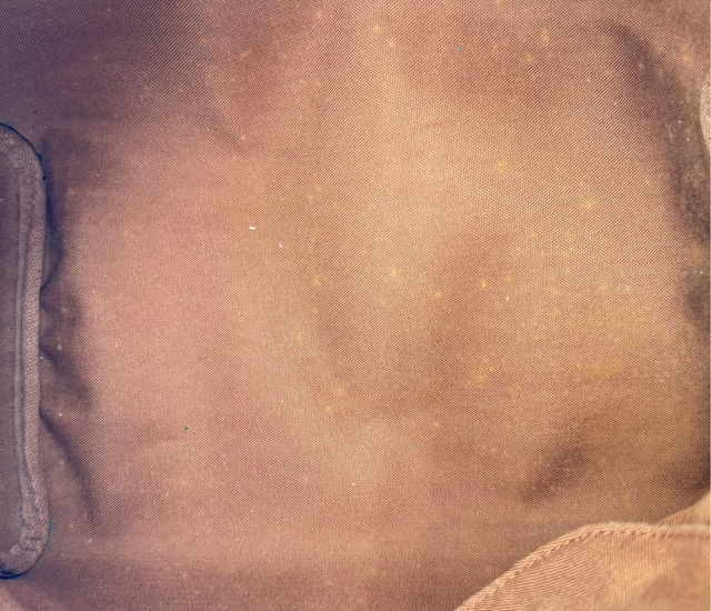 Louis Vuitton – Speedy 30 Monogram