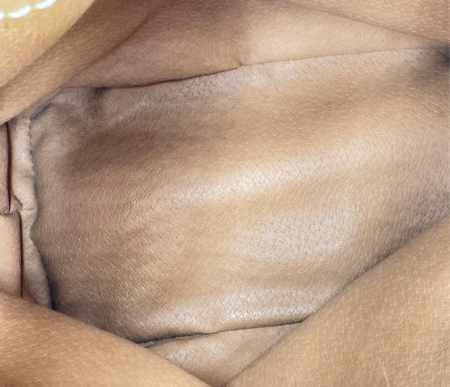 Céline – Seau Macadam Triomphe