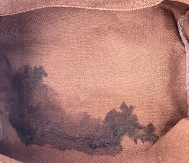 Louis Vuitton – Speedy 35 Monogram