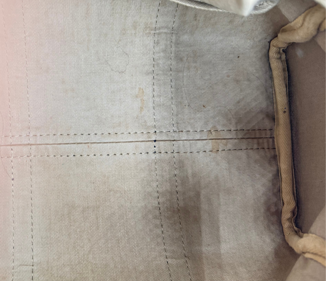 Dior – Boston Trotter