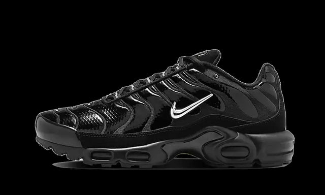 Nike Air Max Plus Black Volt Silver - FJ2591-001