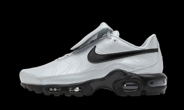 Nike Air Max Plus Tiempo Wolf Grey - HM6850-001
