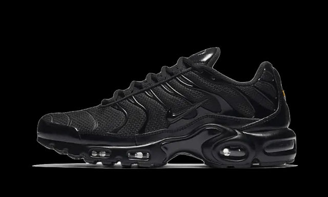 Nike Air Max Plus Triple Black - 604133-050 / CD0609-001