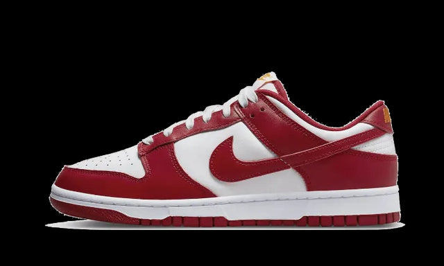 Nike Dunk Low USC - DD1391-602