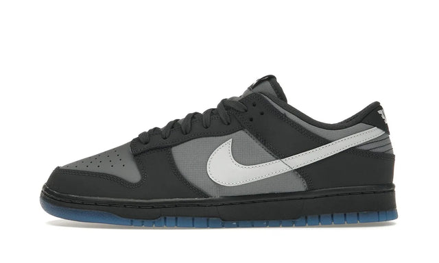 Nike Dunk Low Anthracite - FV0384-001