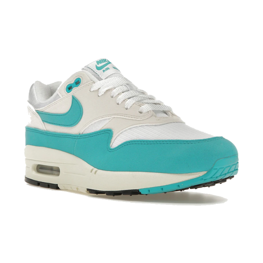 Nike Air Max 1 Dusty Cactus