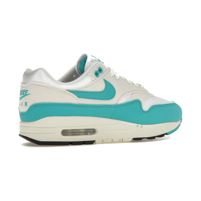 Nike Air Max 1 Dusty Cactus