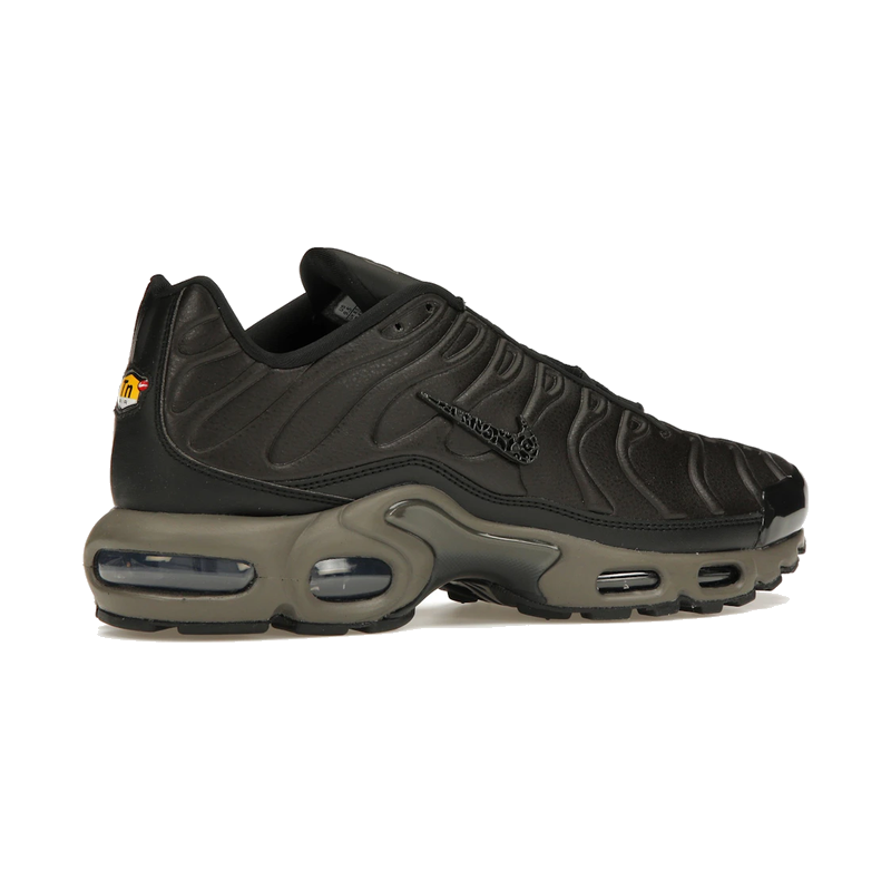 Nike Air Max Plus Premium Paris