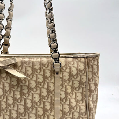 Dior Cabas Toile Trotter Beige - vue de face rapprochée, anses mixtes