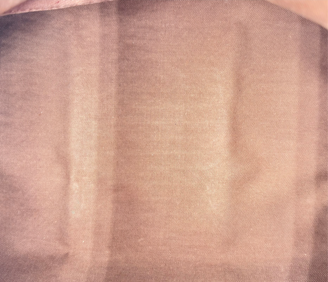 Louis Vuitton – Speedy 30 Monogram