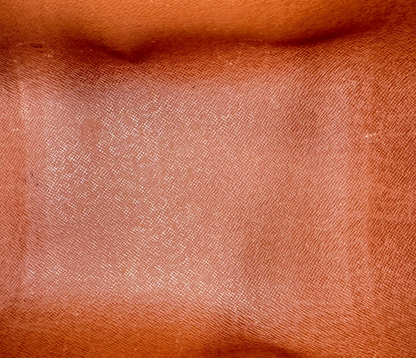 Louis Vuitton – Papillon 26 Monogram