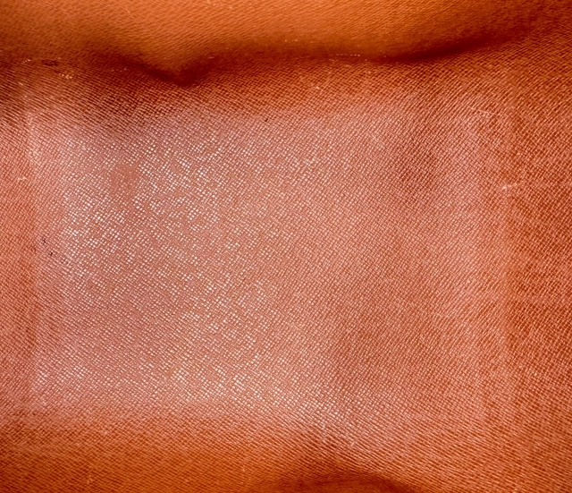 Louis Vuitton – Papillon 26 Monogram