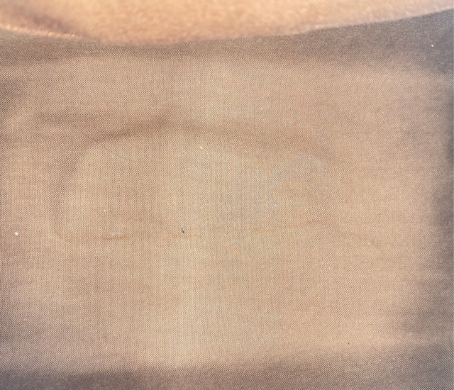 Louis Vuitton – Speedy 35 Monogram