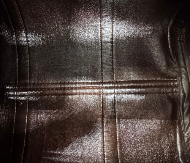 Dior – Boston Trotter