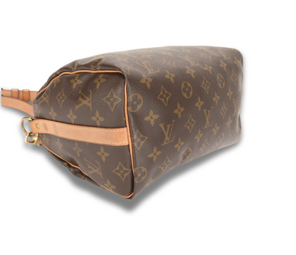 Louis Vuitton Speedy Bandoulière 25 – Monogram