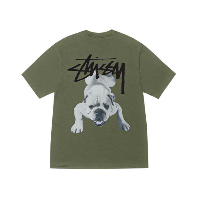 Stussy Stock Dog Tee Olive