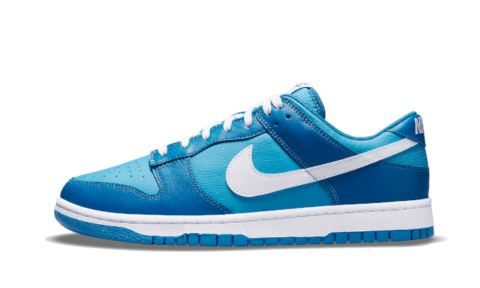 nike dunk blanche et bleu