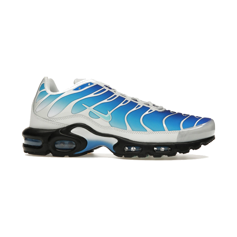 Nike Air Max Plus One Block Down Light Photo Blue