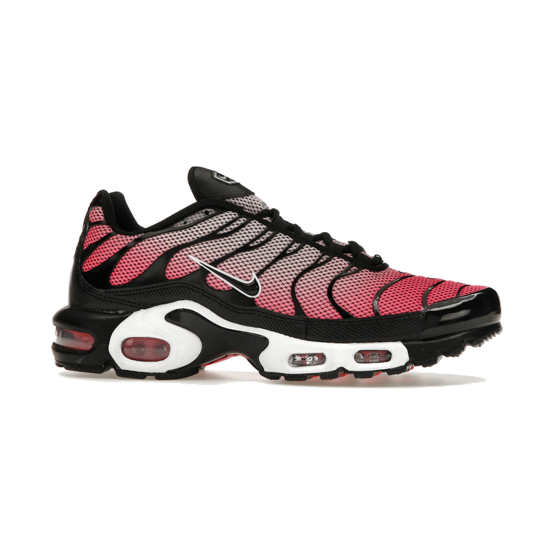 Nike Air Max Plus All Day
