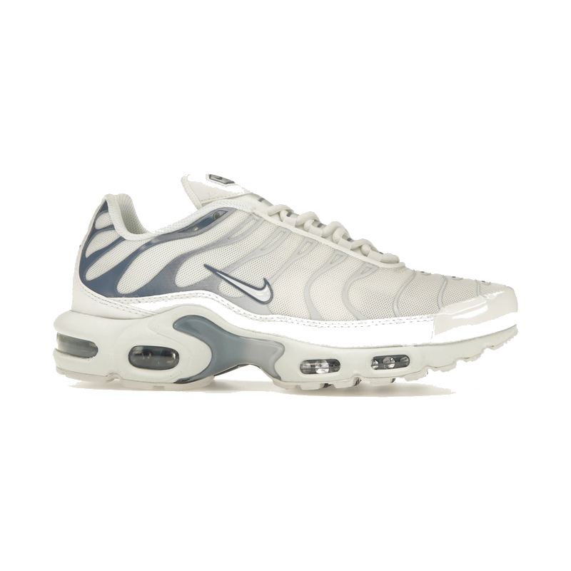 Nike Air Max Plus Ashen Slate