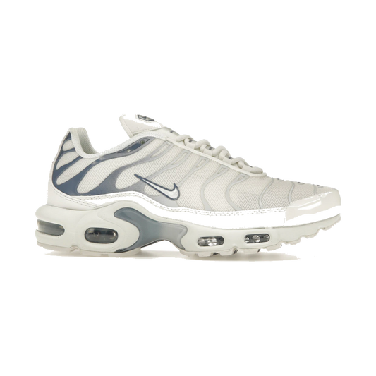 Nike Air Max Plus Ashen Slate