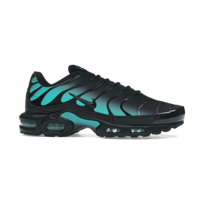 Nike Air Max Plus Black Dusty Cactus