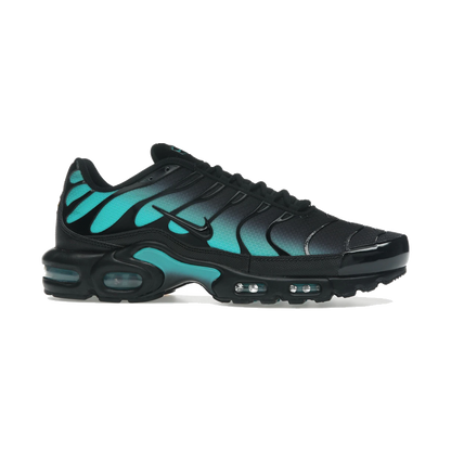 Nike Air Max Plus Black Dusty Cactus