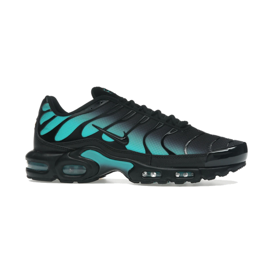 Nike Air Max Plus Black Dusty Cactus