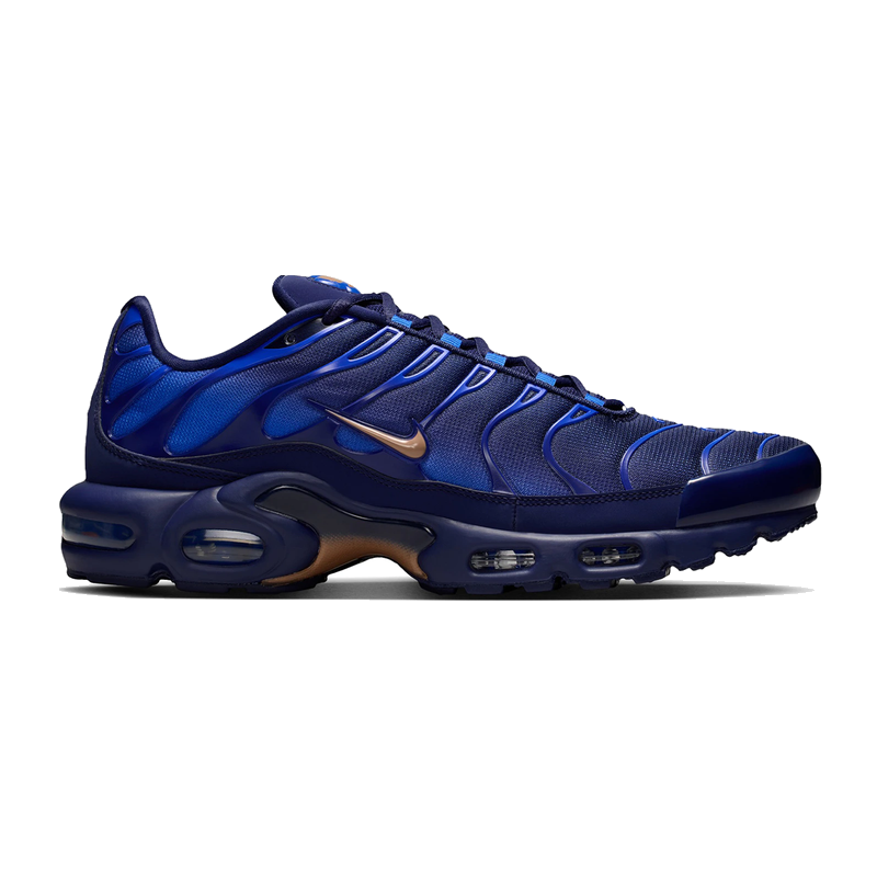 Nike Air Max Plus French Football Federation