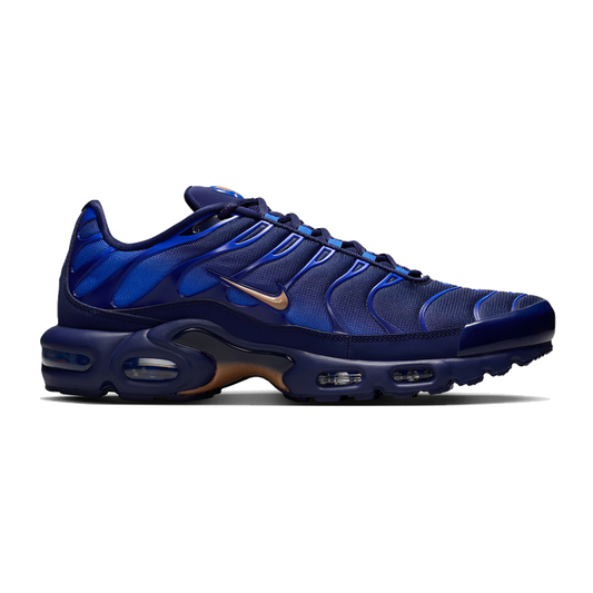 Nike Air Max Plus French Football Federation