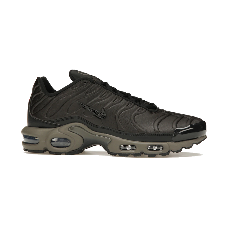 Nike Air Max Plus Premium Paris