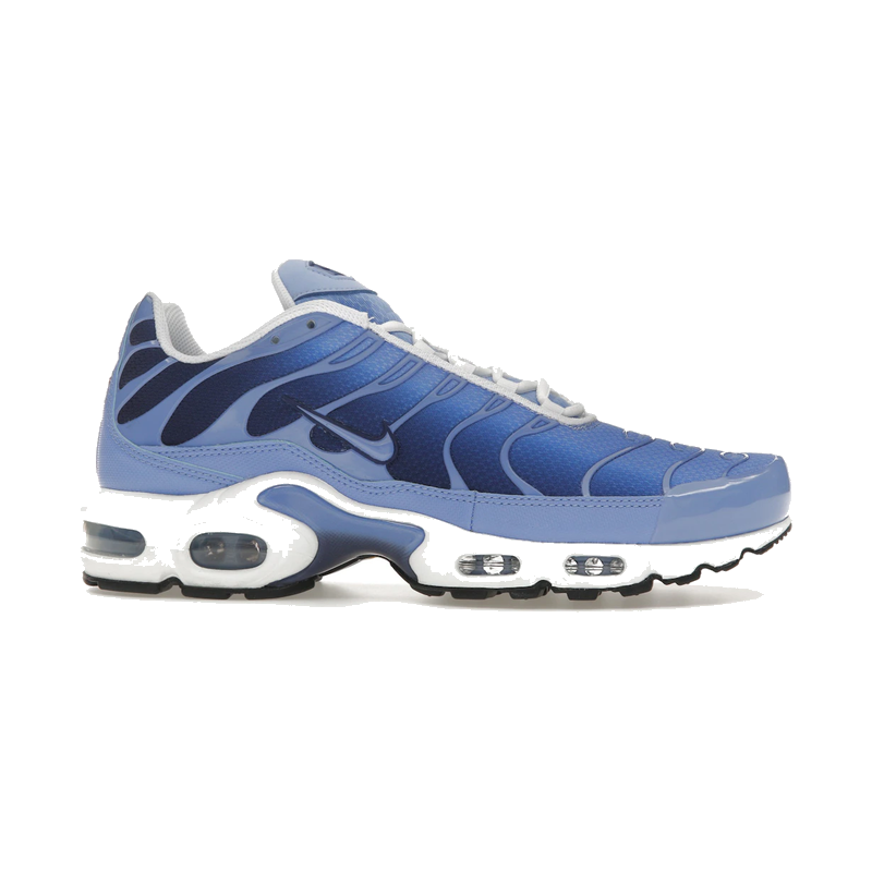 Nike Air Max Plus Royal Pulse
