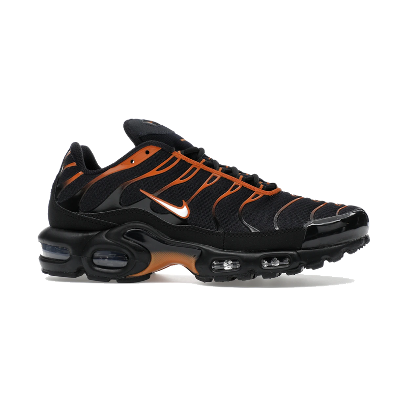 Nike Air Max Plus Dark Obsidian Monarch