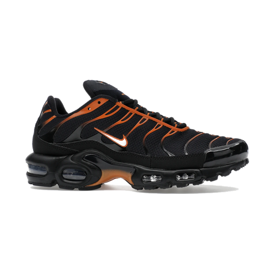 Nike Air Max Plus Dark Obsidian Monarch