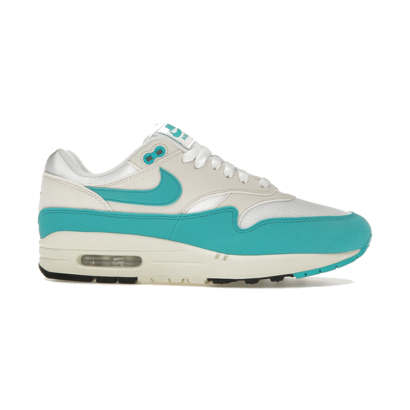 Nike Air Max 1 Dusty Cactus