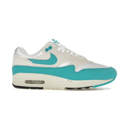 Nike Air Max 1 Dusty Cactus
