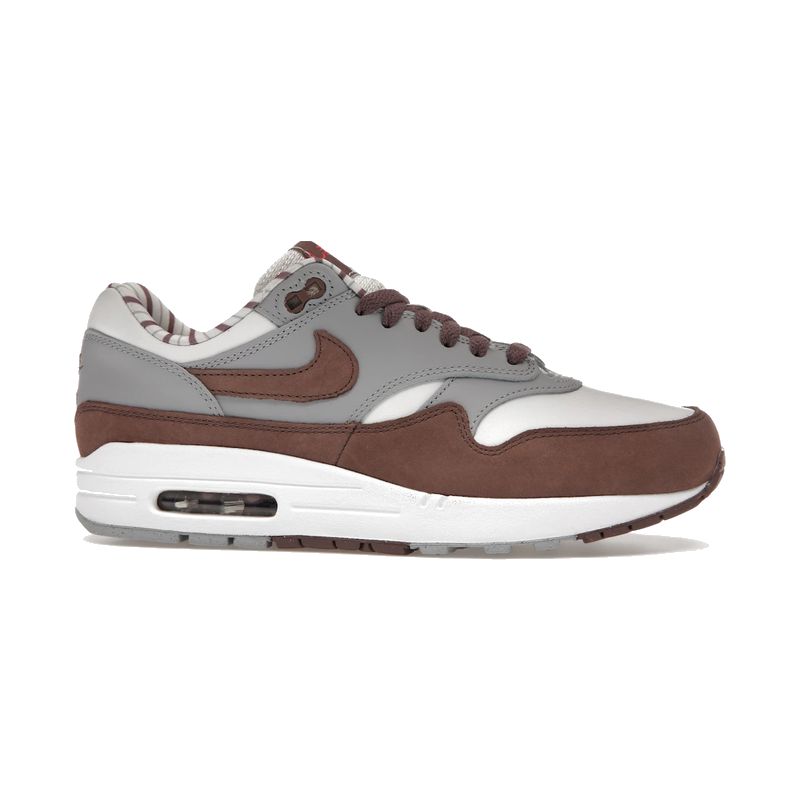 Nike Air Max 1 Premium Shima Shima 2023