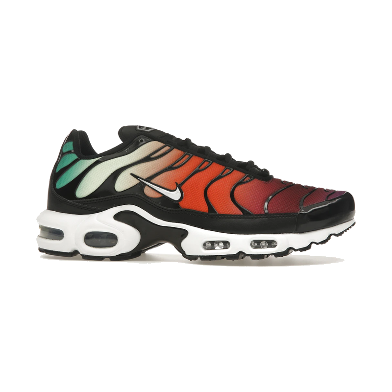 Nike Air Max Plus Rainbow