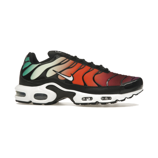 Nike Air Max Plus Rainbow