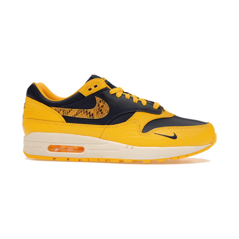 Nike Air Max 1 CO.JP Michigan Head to Head