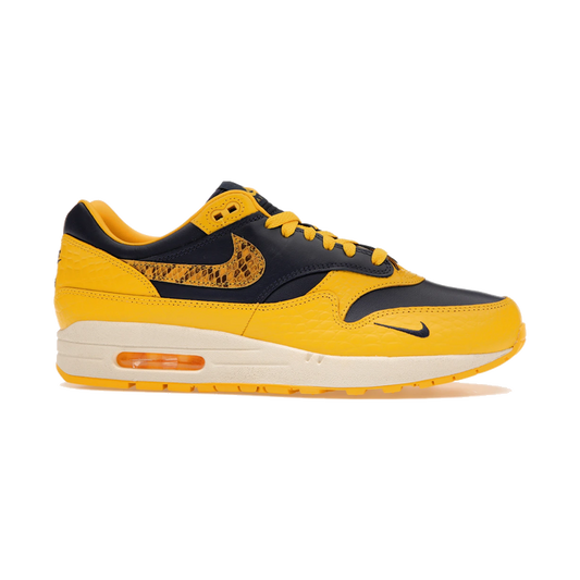 Nike Air Max 1 CO.JP Michigan Head to Head