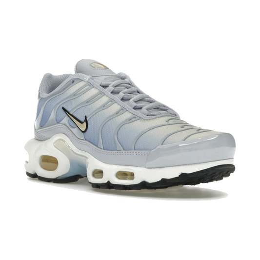Nike Air Max Plus Daybreak
