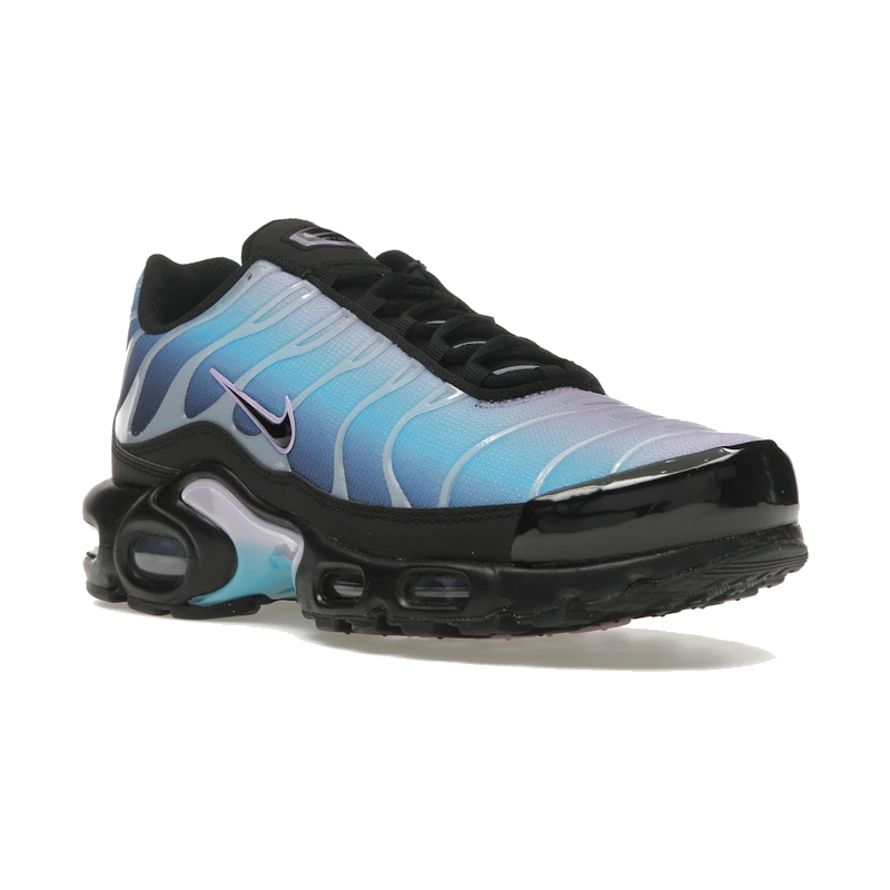 Nike Air Max Plus Black Hydrangeas