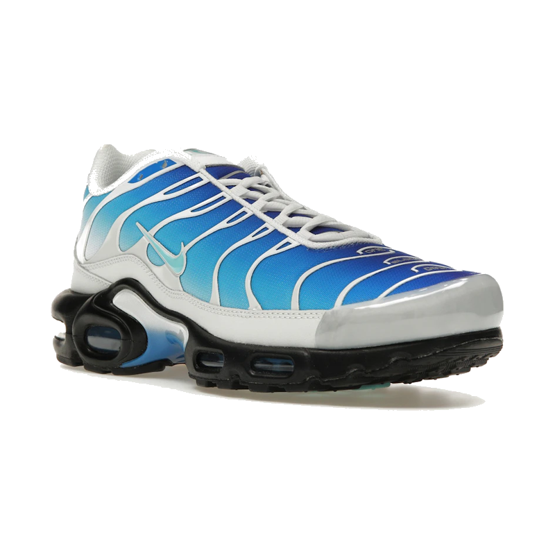 Nike Air Max Plus One Block Down Light Photo Blue