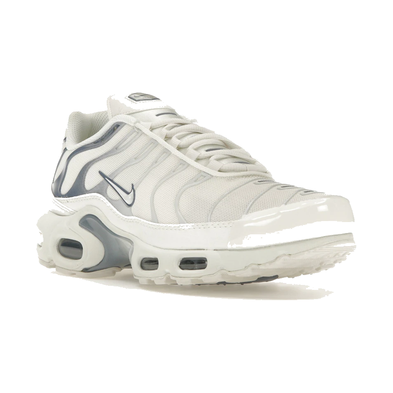 Nike Air Max Plus Ashen Slate