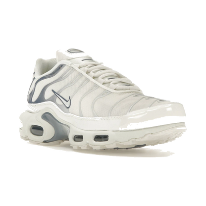 Nike Air Max Plus Ashen Slate