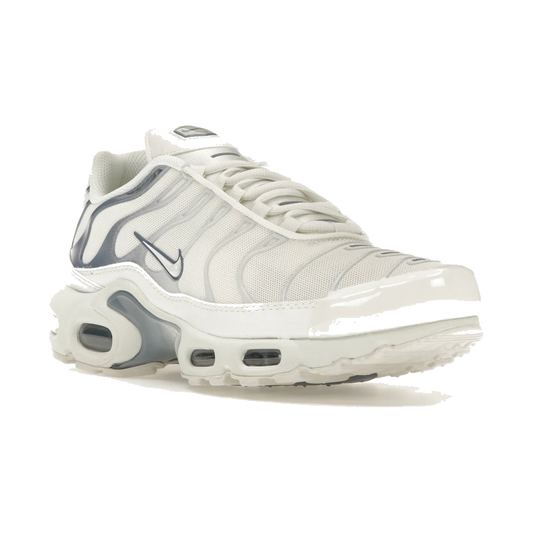 Nike Air Max Plus Ashen Slate